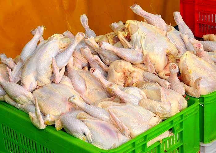 خرید تضمینی گوشت مرغ از تولید کننده در دستور کار قرار گیرد