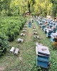 کوچ زنبورستان‌ها بدون مجوز ممنوع است