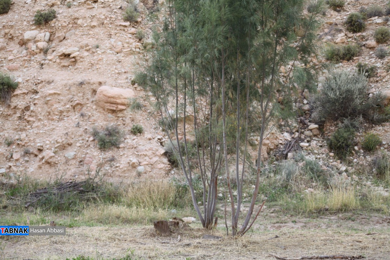 دره رهنو دره رهنو