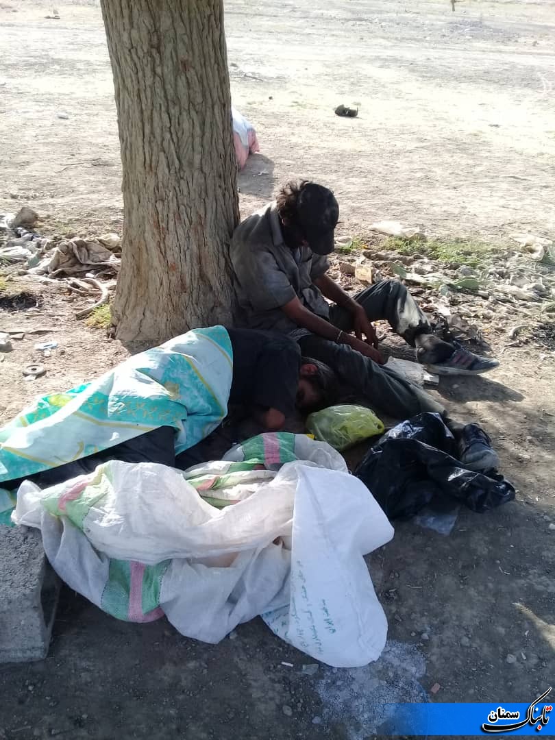 غصه قصه کارتن خواب ها غصه قصه کارتن خواب ها