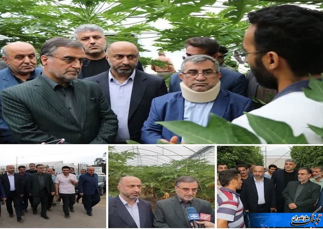 بازدید استاندار مازندران از مجموعه تولید محصولات گلخانه&zwnj;ای روستای کوهسارکنده نکا