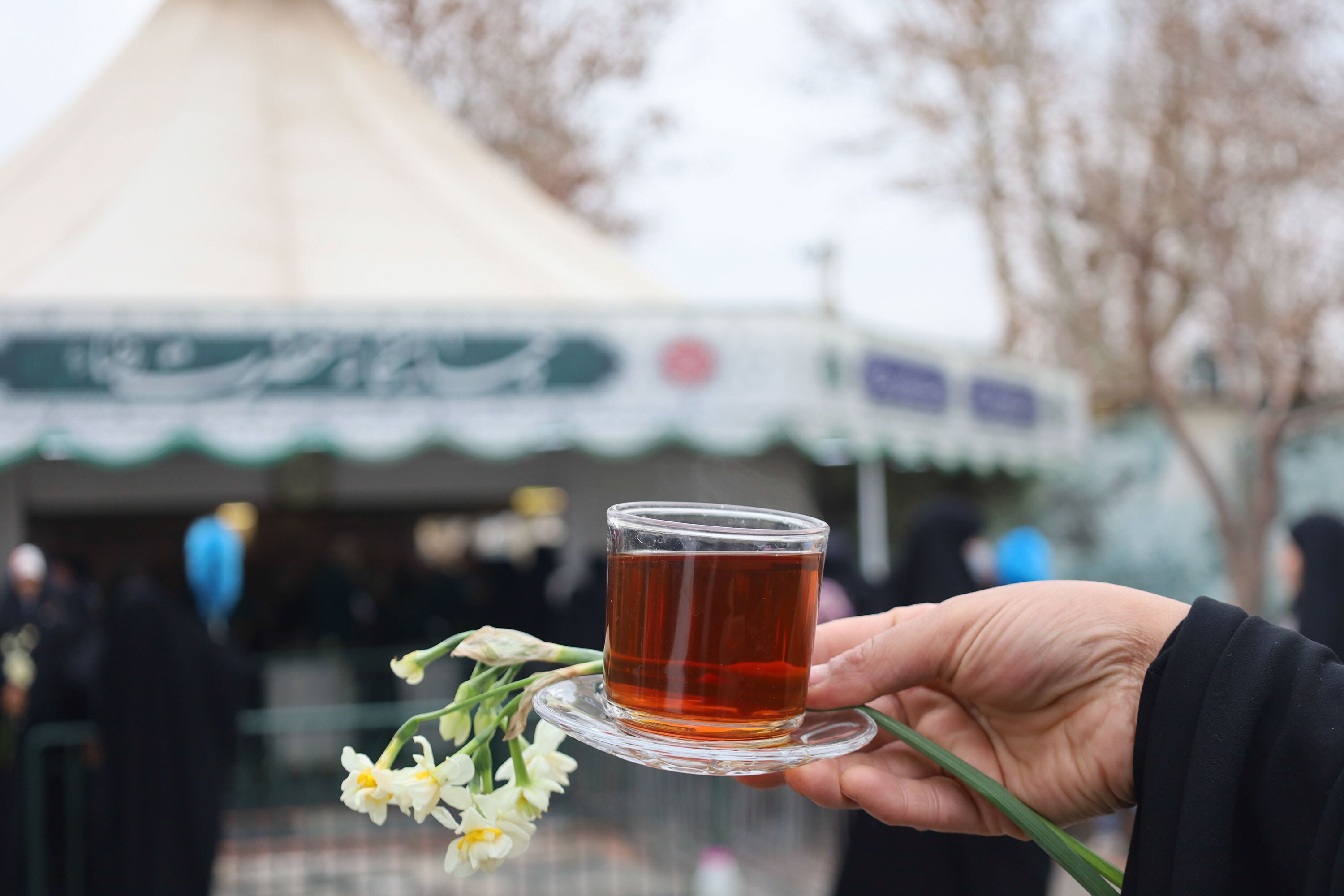 توزیع گل نرگس در چایخانه حرم مطهر رضوی