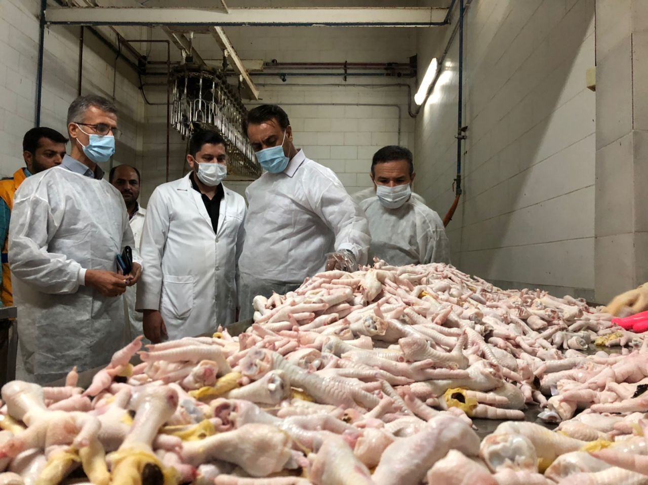 نظارت میدانی بر 15 کشتارگاه طیور در گلستان آغاز شد/ سلامت غذایی از اولویت های سازمان است نظارت میدانی بر 15 کشتارگاه طیور در گلستان آغاز شد/ سلامت غذایی از اولویت های سازمان است