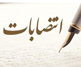 ۲ معاون جدید استاندار بوشهر به زودی معرفی می‌شوند