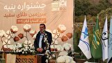 ترغیب کشاورزان به کشت پنبه با افزایش قیمت وش امکانپذیر است/ ارز توافقی برداشته شود