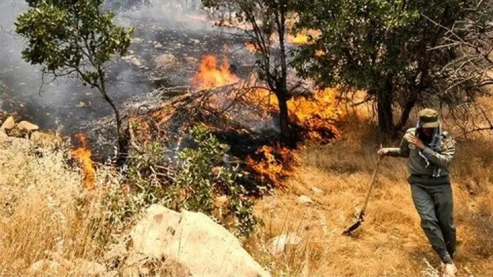 تلاش ها برای مهار آتش بدون وقفه ادامه دارد/آتش سوزی عرصه های جنگلی از شب گذشته تلاش ها برای مهار آتش بدون وقفه ادامه دارد/آتش سوزی عرصه های جنگلی از شب گذشته